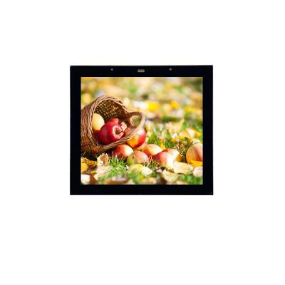 China Wholesale RGB Interface 480*480 Resolution LCD Panel 3.95 Inch 5 Inch Touch Screen for sale