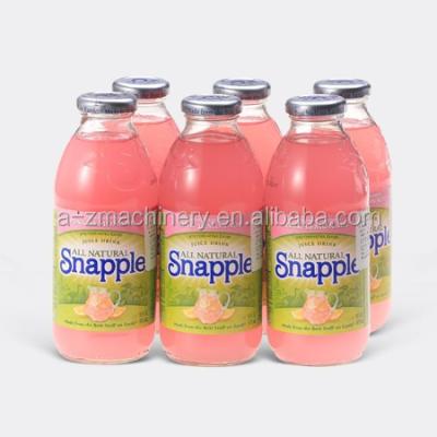 China Complete Automatic Natural Mini Beverage Fresh Fruit Juice Production Line for sale