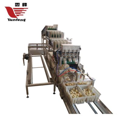 China Bird Quality China Alibaba Choice Chick Counter Supplier for sale