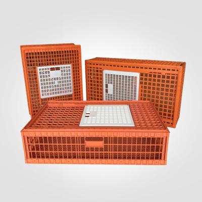 China High Quality Egg Yunfeng Broiler Crate Chicken Transport Cages For Sale for sale