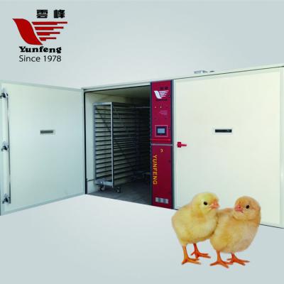 China YFDF-115200 machines for sale eggschicken hatchery for sale