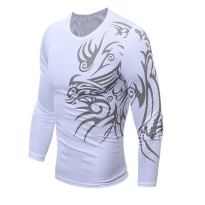 China Anti-wrinkle Sublimation Printing Dragon Round Neck Hot Autumn Men's Long Sleeve Polyester Spring T-Shirts for sale