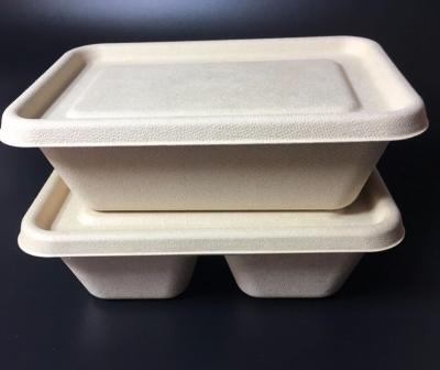 China Guangxi Biodegradable Food Packaging Supplier for sale