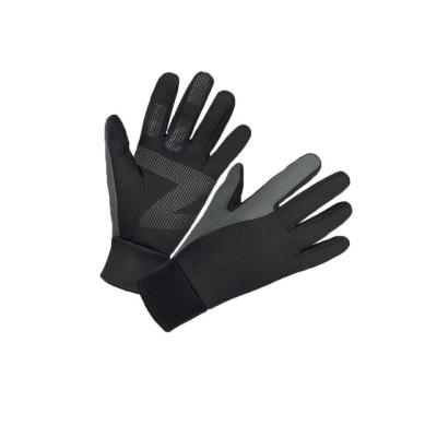 China Moisturizing winter gloves warm recycling touch screen non-slip, anti-splash, outdoor warm anti-wind gloves for sale