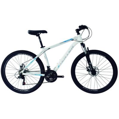 China Aluminum Alloy China Factory SHIMANO 21 Speed ​​Mountain Bike Tire Bike Wholesale for sale