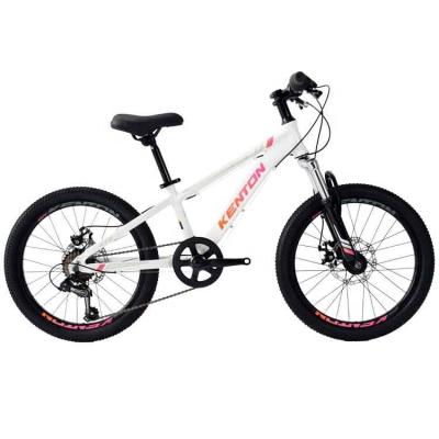 China Good Quality High Carbon Steel Bicycle For Kids Children With Basket China Kids Bike For 8 Years Old Child for sale