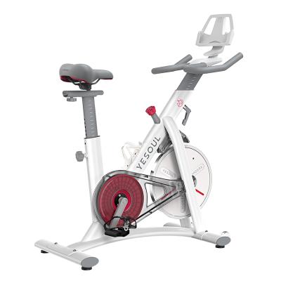 China Indoor High Efficiency Home Use Home Use Bike Ultra Quiet Spinning Exercise Bike for sale