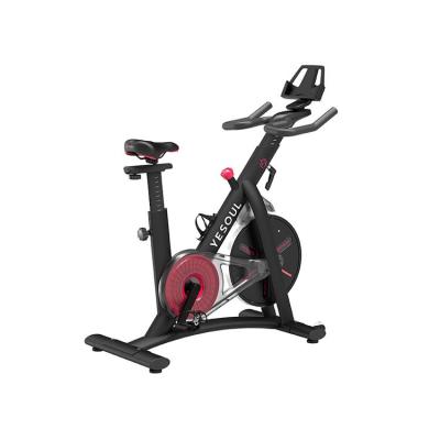 China Professional Manufacturer Home Exercise Zing Sipping Bike for Home Use for sale