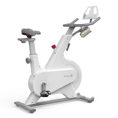 China Home Use Yesoul 2.0 Mobile Fat Burn Riding Spinning Exercise Bike for sale