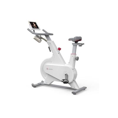 China Best Selling Home Gym Equipment Indoor Use Cycling Bike Spinning for sale