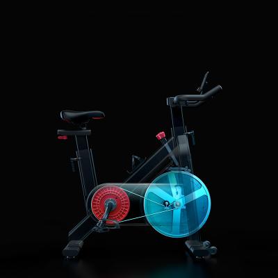 China New Home Use Magnetic Silent Exercise Spin Bike With Virtual Cycle App for sale