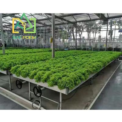 China Medical hemp; Medicinal plant ; Lettuce farming; Horticulture & Tomato see pure poem ebb and flow systems hydroponics flood arrays for soilless cultivation for sale