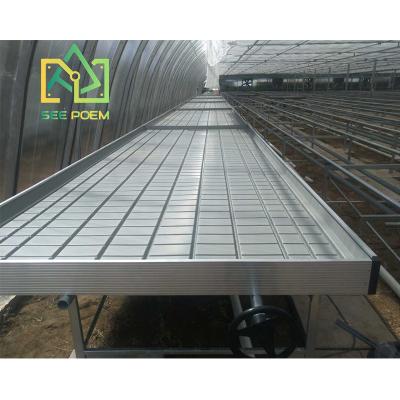 China Propagating Seedling Medicinal Plants Flood Growing Tables Nursery Hydroponic Bed For Medicinal Plants Or Vegetables for sale