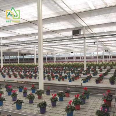 China Eco - Friendly Rolling Benches Hydroponic Ebb And Flow Rolling Table Seed Tray For Greenhouse for sale