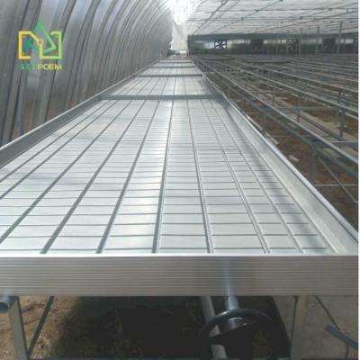 China Easy Growing Rolling Benches Hydroponic Ebb And Flow Rolling Table Seed Tray For Greenhouse for sale