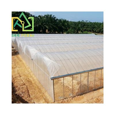 China Vegetable Fruits Flowers See Poem Clearspan Growspan Multi-Tunnel Greenhouses For Agriculture for sale