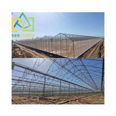 China Fruit Vegetable Flowers See Poem Hydroponic Container Grow Greenhouses Low Cost PE Film Multi Tunnels Greenhouses for sale