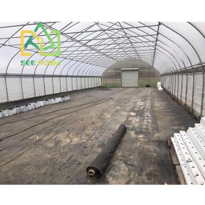 China Agriculture Tomato Growing Agricultural Greenhouses Hydroponic Greenhouses For Agriculture Greenhouse Used Greenhouse Structure for sale