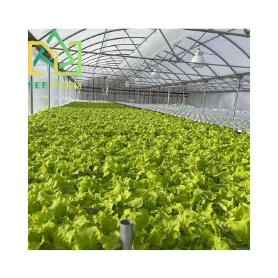 China Fruits Vegetable Flowers See Poem 200 Micron Plastic Hydroponic Greenhouse Agricultural Greenhouses Used Sale for sale