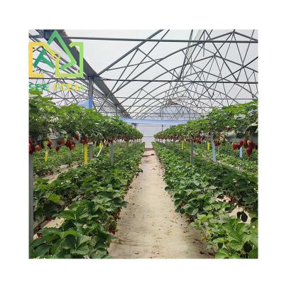 China Fruit Vegetable Flowers See Growing Greenhouse / Commercial Greenhouses Large Scale Poem Strawberry Bowls Greenhouse for sale