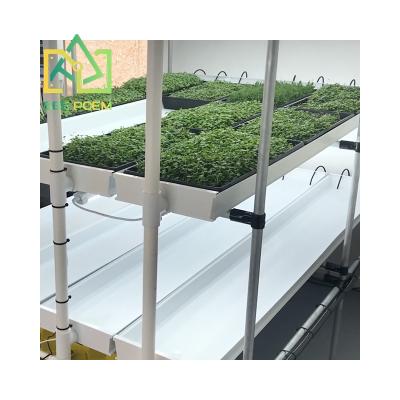 China Microgreens Forage Hydroponic System Vertical Growing Fodder Trays Plastic Grow Barley Seeds With Kits for sale