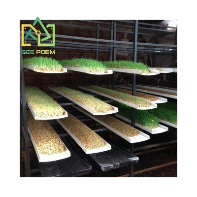 China Microgreens Vertical Growing Barley Grass Growing System With Tube Lighting System for sale