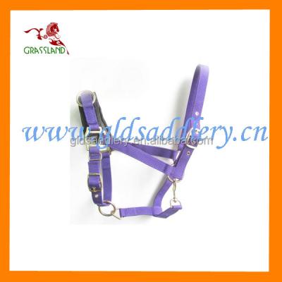 China Good quality western saddle riding/horse products products and accessories/horse racing equestrian halters for sale