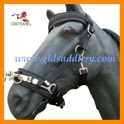 China Horse halter new design pp horse halter/horse product manufacture for sale