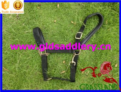 China Soft touch design padded horse leather halter for sale