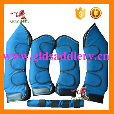 China a tail guard blue color buckle fleece lining travel boots for horse full for sale