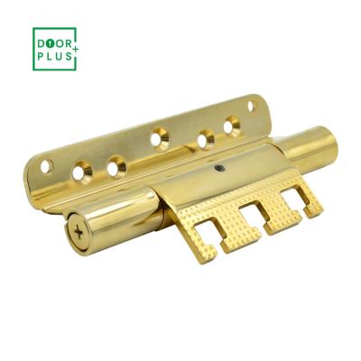 China Modern Small Stainless Steel Hardware High Quality Doorplus Gold Metal Polish Door Hinges for sale