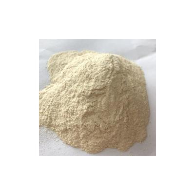 China Factory Price New Natural Organic Rice Powder Roasted Fried Rice Powders for sale