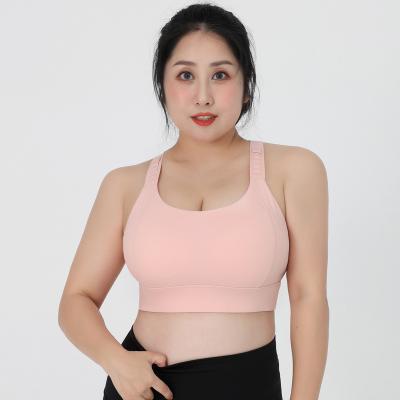 China Breathable Extra Large Big Cup Woman Plus Size Cross Back Gym Bra Yoga Stretch Bra Four Way Fitness Sports Wear for sale