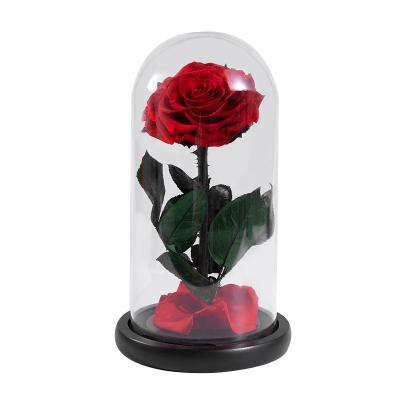 China Longlife Wedding And Flower Craft Preserved Rose Glass Dome Gift Item For New Married Couple for sale