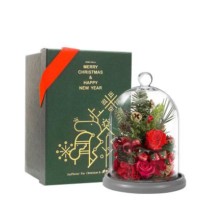 China Christmas Christmas Present Christmas tree design  Preserved Flower  Christmas decoration Home decoration party for sale