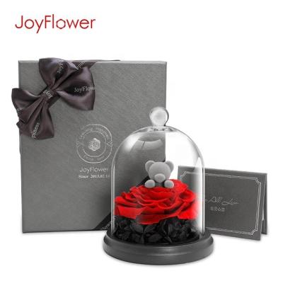 China Wedding  Wedding gifts natural preserved eternal rose flowers bear  in glass dome Christmas Present valentine Preserved Flower for sale