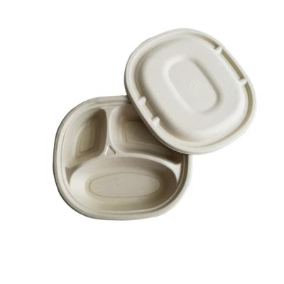 China 1100ml Modern Oval 3 Compartment Dish Sugarcane Bagasse Tableware Fast Food Takeaway Food Box Modern Design With Lid for sale