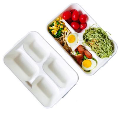 China Wholesale Price Modern Sugar Cane Pulp Covered Meal Food Packaging Lunch Box for sale