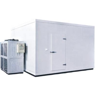 China Container cold room refrigeration unit walk-in refrigerator cold room for sale for sale