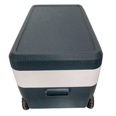 China DC Drinkable Mini Fridge Freezer Car Fridge AC 220V-240V Wholesale Portable Cooler Refrigerator for Camping and Traveling for sale