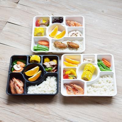 China Disposable Sustainable Hot Selling PP Take Out Food Container 6 8 Compartment Bento Lunch Box With Lids for sale