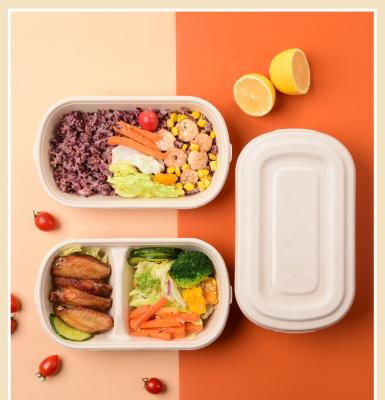 China Wholesale SHINY Biodegradable Disposable Box Microwave Bagasse Bento Microwave Compostable Fast Food Container With Lids for sale