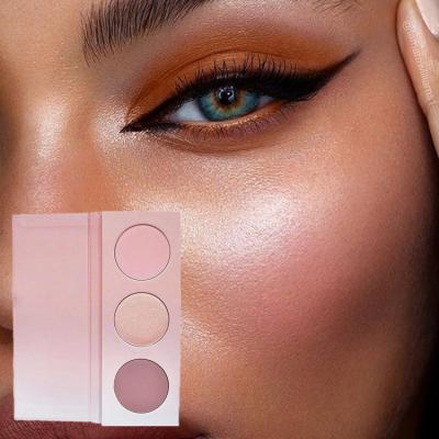 China High Quality Waterproof Eyeshadow Blusher Makeup Private Label Baked Blusher Powder for sale