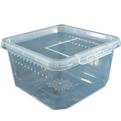 China Breathable Convenient Large Size Clear Plastic Reptile Feeding Box for sale