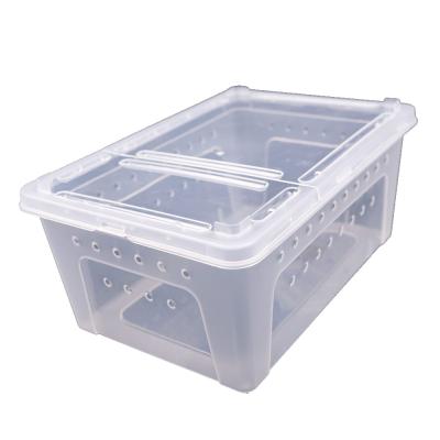 China Medium Plastic Breathable Reptile Box Feeding Vivarium, Reptile Travel Habitat Box Fence For Gecko Frog Spider Snake Baby Lizard for sale