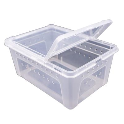 China Large Breathable Mini Plastic Reptile Box Feeding Greenhouse, Reptile Travel Habitat Box for Gecko Frog Spider Snake Lizard Scorpions for sale