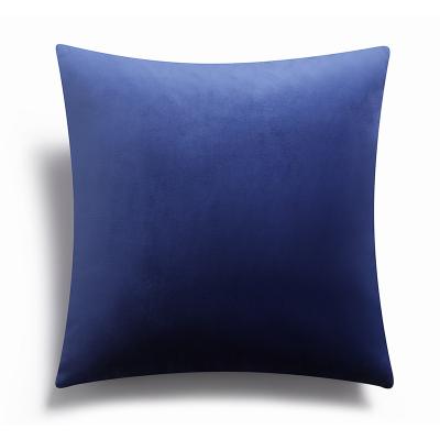 China Wholesale Custom Size 45x45cm China Factory Portable Luxury Sofa Throw Pillow Velvet Cushion for sale