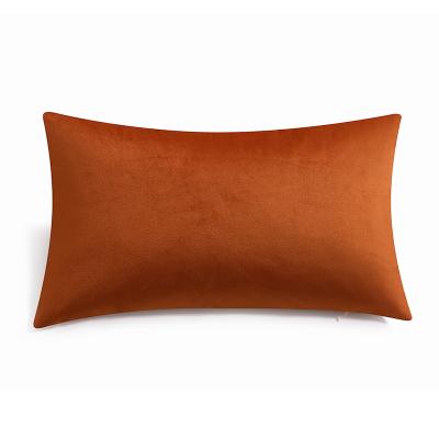 China New Arrival Vivid Soft Vivid Christmas Gift Pillow Plush Velvet Tile Decorative Square Shapes for sale