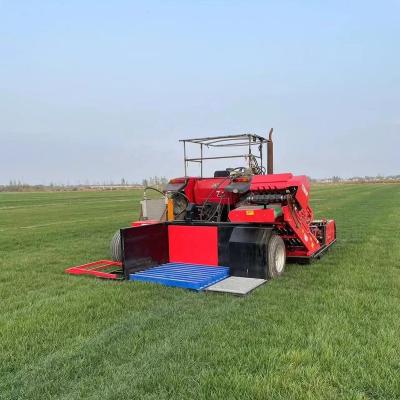 China Lawn lawn turf harvester, soccer field construction, lawn harvesting equipment, for sale