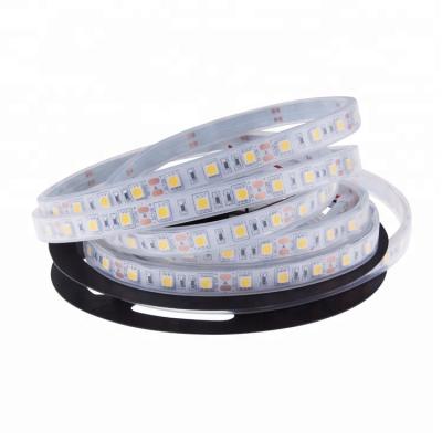 China Underwater 5050 Led Strip Light Flexible LED Pool Light DC24V Waterproof IP68 Led Strip Light for sale